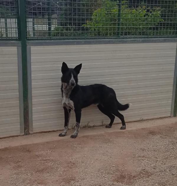 Valzer vi attende per ballare tutta la vita con lui Foto 6